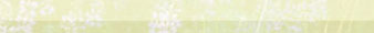 Ilani Sessions